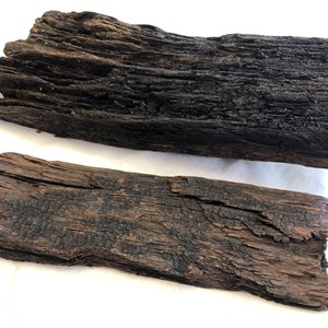 Bronze Age Trackway